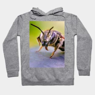 Good Doggy! Macro Insect Photograph Hoodie